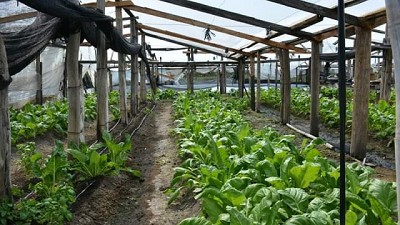 Entre Ríos: Avanzan propuestas de apoyo a la actividad de la agricultura familiar