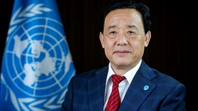 Permitir que nuestros bosques nos ayuden a superar las crisis múltiples