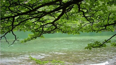 Cambio climático: pautas para adaptarse y mitigar el impacto