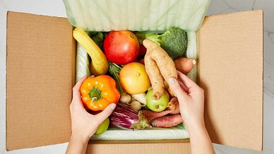 Nuevo plazo para la validez del Documento de Tránsito Vegetal electrónico