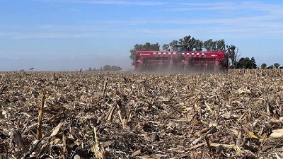 Cómo planificar la siembra de trigo ante un escenario hídrico heterogéneo