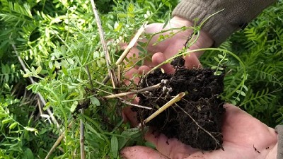 Rotaciones diversas: de la teoría a la práctica