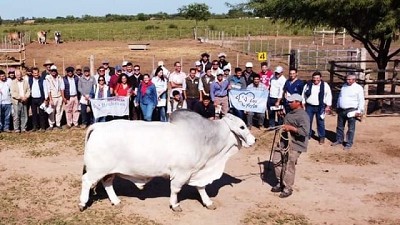 Buscan potenciar el desarrollo productivo de las cabañas bovinas del centro-oeste de Formosa