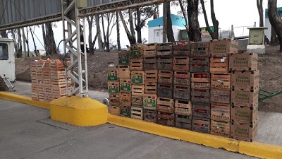 Decomiso y donación de más de una tonelada de frutas y hortalizas aptas para consumo