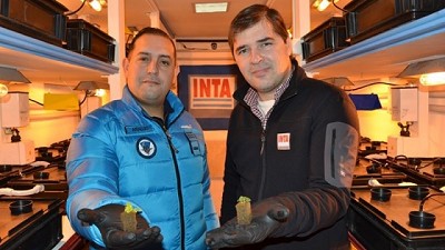 Germinaron los primeros plantines hortícolas en la Antártida Argentina