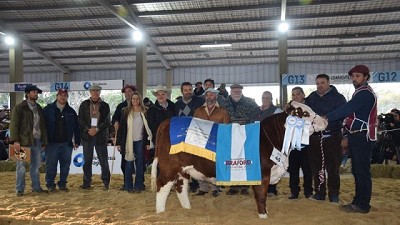 Braford eligió los mejores terneros de la Exposición Internacional