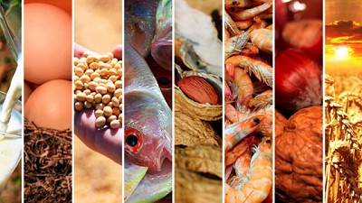 Alergias alimentarias, transgénicos y un mito difícil de derribar