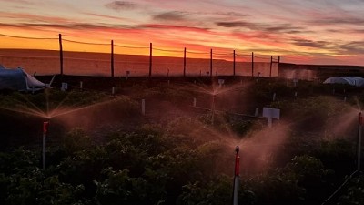 Sistema de control de heladas en el cultivo de papas