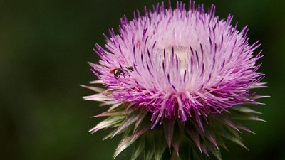 Medir, reducir, compensar: una de las metas de Casafe