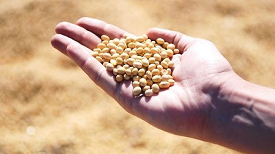 Sembrá Evolución: un nuevo modelo que está transformando la comercialización de semillas en el Agro Argentino