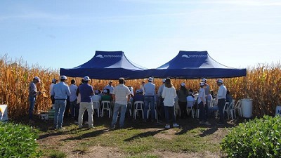 DONMARIO sigue apostando al cultivo de Maíz para mostrar La ciencia detrás del rinde