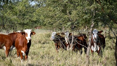 El INTA trabaja para alcanzar la neutralidad de carbono al 2050