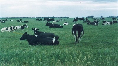 Hace 25 años que crece la producción orgánica argentina