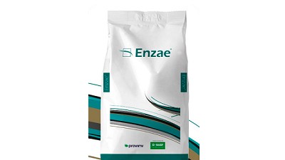 Llegan a la Argentina nuevas e innovadoras soluciones para nutrición animal basadas en enzimas. 