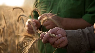 Agroecología por y para Ingenieros agrónomos