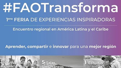 Pasar de pérdidas a soluciones: el trabajo de la FAO en PDA