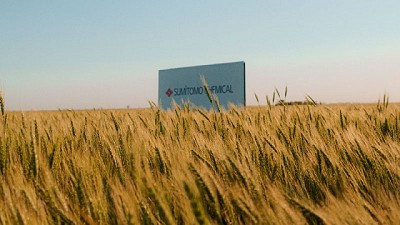 Trigo: decisiones rápidas, para ganar la carrera de los rindes y la rentabilidad