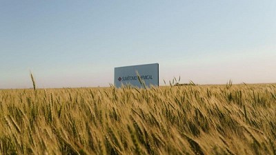 Trigo: decisiones rápidas, para ganar la carrera de los rindes y la rentabilidad