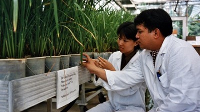 La energía nuclear en la agricultura
