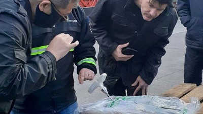 Argentina y Brasil buscan optimizar y continuar con la comercialización de merluza