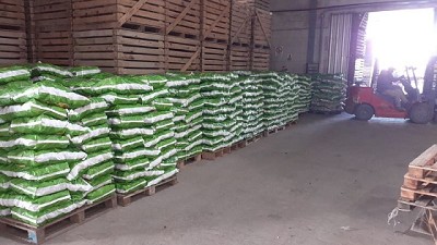 San Luis: Certificación sanitaria para la exportación a Chile de 12.500 kg de papa