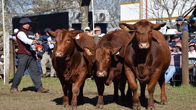 Corrientes fue el centro de la genética y los negocios ganaderos