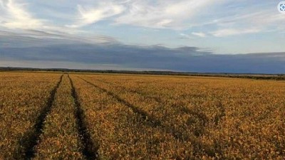 Campo Limpio recupera un 37% de los envases de agroquímicos y fertilizantes