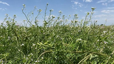 Suelos vivos hoy, salud para mañana