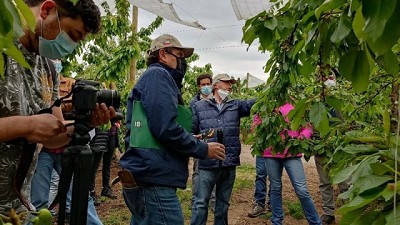 Extensión puede hacer la diferencia