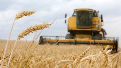 El índice de referencia de la FAO de los precios de los alimentos mostró una caída de los precios internacionales de los cereales, los aceites vegetales y el azúcar