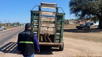 Control a transportes de animales, productos vegetales y alimentos en Santiago del Estero
