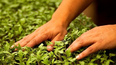 Las nuevas generaciones de agrónomos asumen su responsabilidad por el cuidado del medio ambiente
