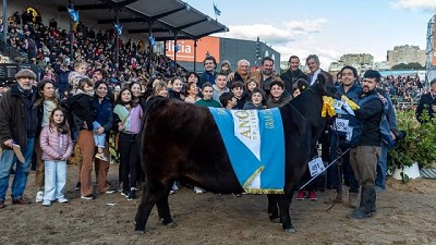 Bravísima, Gran Campeón Hembra de la raza Angus