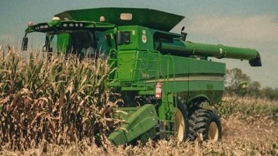 Semillas de futuro: Stine lanza un Proyecto solidario con su maíz 