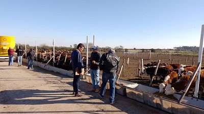 Auditoría de México al sistema de control sanitario de carne bovina de la Argentina