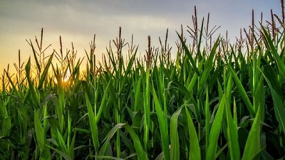 Un nuevo estabilizador de nitrógeno está disponible en Argentina