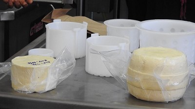 Círculo virtuoso: un tambo familiar doble propósito produce quesos