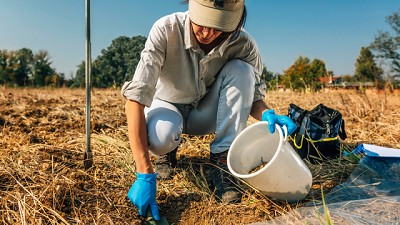Manejando la fertilidad del suelo