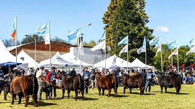 Olavarría ya comienza a vibrar con la Exposición Nacional Angus de Primavera