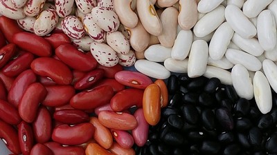 Avanzan en el desarrollo de variedades diseñadas para los consumidores