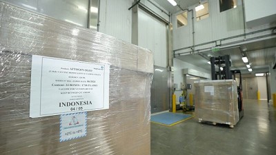 La Argentina inició la exportación de vacunas contra la fiebre aftosa a Indonesia