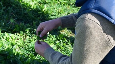 Orgullo nacional: Uruguay tiene profesionales en el agro cada vez más capacitados