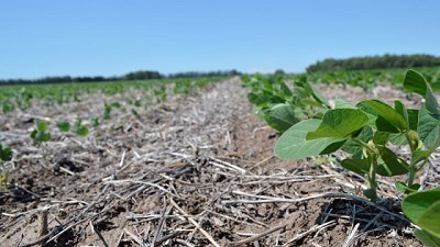Yamato Top: un herbicida para control efectivo de malezas resistentes, de banda verde y bajo EIQ