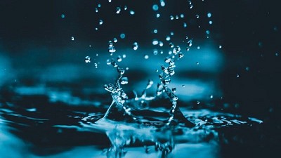 El ADN del agua: su rol y secuenciación del genoma completo