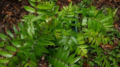 Pequeñas acciones que generan grandes cambios
