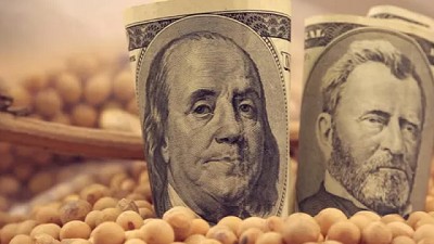 Hot Sale de Dólar Soja, un mamarracho, por Salvador Di Stefano