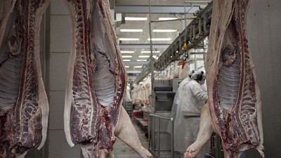 Nuevo mercado: Singapur habilita la importación para la carne y productos porcinos argentinos