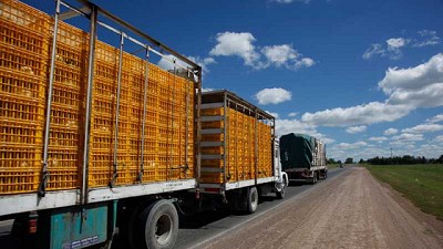 Más de la mitad de las exportaciones argentinas cursan por regímenes especiales