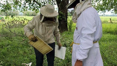 Comenzó con éxito el Curso de Introducción a la Apicultura Periurbana