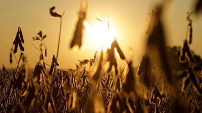 Año niña: No siempre es una mala noticia